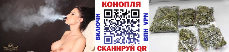 Купить где  Гремячинск  Каннабис конопля 